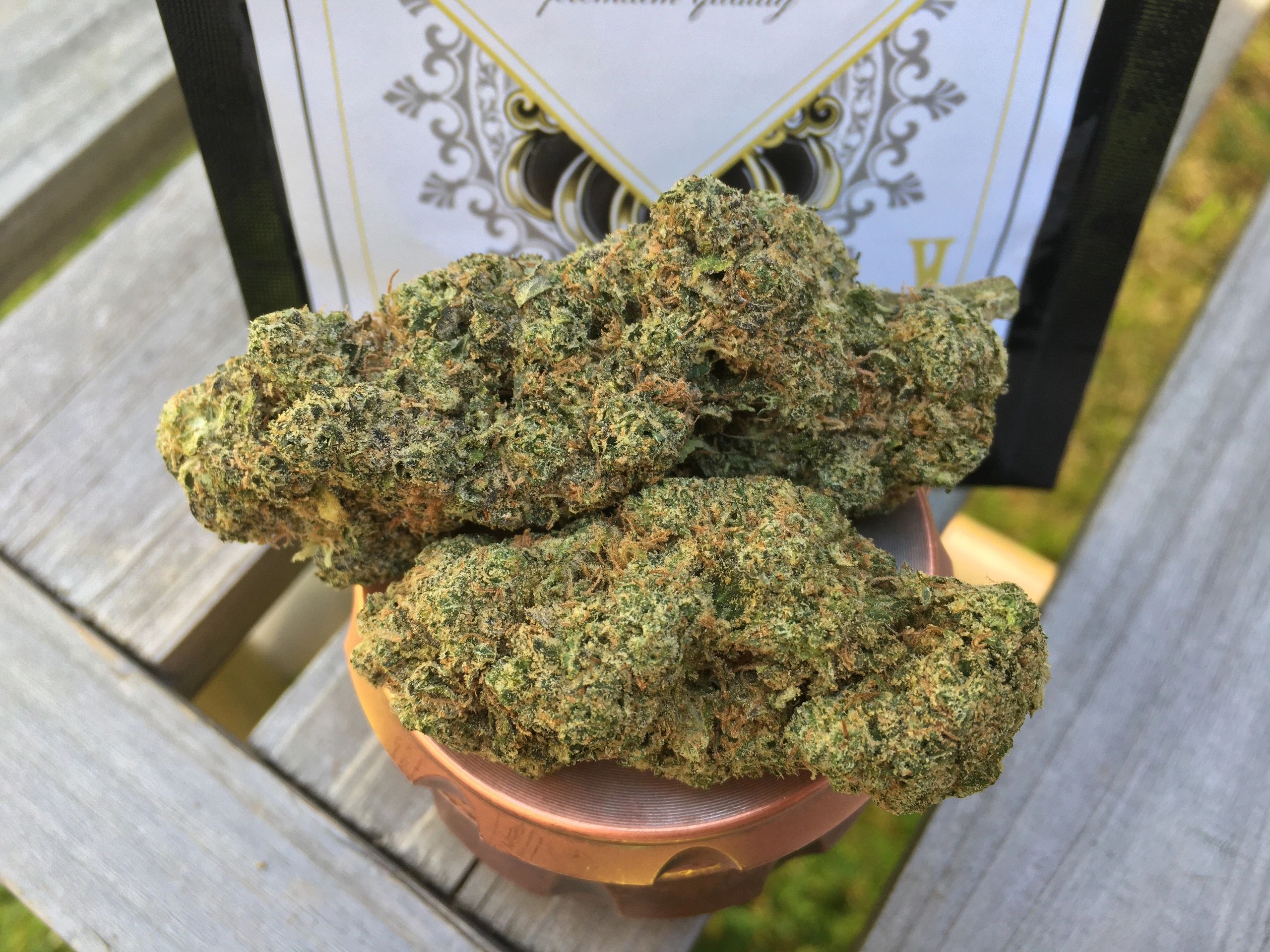 Jack Frost Cannabis Kings